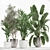 Exotic Plant Collection in White Pot 3D model small image 1