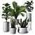 Modern Indoor Plant Set: 3D Model 3D model small image 1