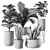 Modern Indoor Plant Set: 3D Model 3D model small image 2