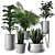 Modern Indoor Plant Set: 3D Model 3D model small image 3