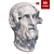 Homer's Plaster Head Sculpture 3D model small image 2