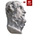 Homer's Plaster Head Sculpture 3D model small image 6