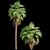 Mexican Fan Palm Bundle: 9 Elegant Trees 3D model small image 2