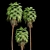 Mexican Fan Palm Bundle: 9 Elegant Trees 3D model small image 4