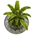 Versatile Outdoor Plant Vol. 07 3D model small image 2