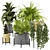 Modern Indoor Plants in Bau Pot Set 3D model small image 1