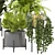 Modern Indoor Plants in Bau Pot Set 3D model small image 2