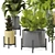 Modern Indoor Plants in Bau Pot Set 3D model small image 3