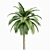 Canary Island Date Palm Phoenix Canariensis 6 Trees 3D model small image 3