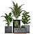 Modern Indoor Plants Collection 3D model small image 1