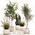 Decorative Plant Collection: Indoor and Outdoor Exotics 3D model small image 1