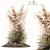 Pampas Grass: 3D Outdoor Beauty 3D model small image 1