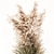 Pampas Grass: 3D Outdoor Beauty 3D model small image 2