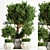 Indoor Tree: Potted Greenery for Any Space 3D model small image 1