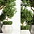 Indoor Tree: Potted Greenery for Any Space 3D model small image 3