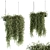 Tropical Oasis: Indoor Hanging Plant Set 3D model small image 1