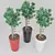 Exotic Pot Plant: Vibrant and Versatile 3D model small image 1