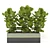 Green Oasis: Indoor Plants Collection 3D model small image 5