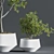 Indoor Oasis Plant Set 3D model small image 6