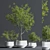 Indoor Oasis Plant Set 3D model small image 8