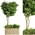 Outdoor Beauty: 20 Trees for Stunning Landscapes 3D model small image 1