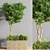 Outdoor Beauty: 20 Trees for Stunning Landscapes 3D model small image 2