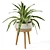 Everett Ceramic Planter with Wooden Stand 3D model small image 4