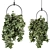 Blossom Oasis: Indoor Hanging Plant Set 3D model small image 1