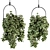 Blossom Oasis: Indoor Hanging Plant Set 3D model small image 2