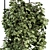 Blossom Oasis: Indoor Hanging Plant Set 3D model small image 3