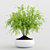 Modern Indoor Plants Set 3D model small image 2