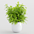 Modern Indoor Plants Set 3D model small image 4