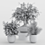 Modern Indoor Plants Set 3D model small image 6