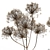 Elegant Dried Flower Bouquet 3D model small image 2