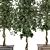 Outdoor Plants Tree in Wooden Box 3D model small image 6