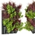 Title: Premium Plant Collection - Vol 243 3D model small image 2