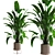 Indoor Botanical Oasis Set 3D model small image 5