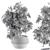 Indoor Plant Set: Variety in Pots 3D model small image 3