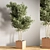 Green Oasis Indoor Plant Set 3D model small image 4