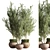 Outdoor Plant Set 09: Stylish and Sustainable Greenery 3D model small image 1