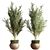 Outdoor Plant Set 09: Stylish and Sustainable Greenery 3D model small image 4