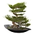 118CM BONSAI06: Authentic Zen Tree 3D model small image 1