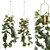 Swiss Cheese Plant Assortment: Fresh & Dried 3D model small image 1