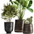 Tropical Plant Collection: Reclaimed Iron Pot, Exotics & Calathea 3D model small image 2