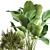 Tropical Plant Collection: Reclaimed Iron Pot, Exotics & Calathea 3D model small image 4