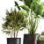 Tropical Plant Collection: Reclaimed Iron Pot, Exotics & Calathea 3D model small image 5