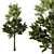 Tall Pine Tree - TwoTree Corona 3D model small image 3