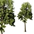 Tall Pine Tree - TwoTree Corona 3D model small image 4
