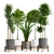 14-Piece Indoor Plant Collection: Variety and Elegance 3D model small image 7