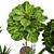 14-Piece Indoor Plant Collection: Variety and Elegance 3D model small image 3